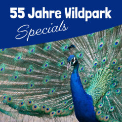 ONLINE-TICKETS | 55 JAHRE WILDPARK